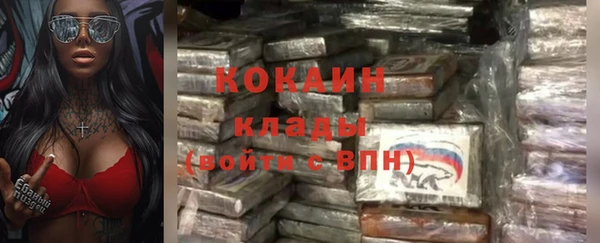 крисы Беломорск
