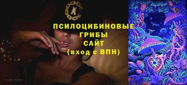 твердый Протвино