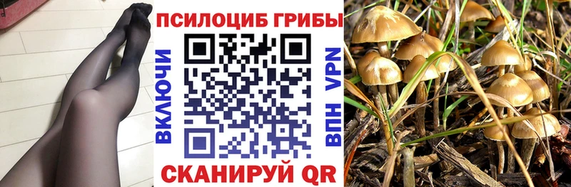 МЕГА   Малмыж  Псилоцибиновые грибы Cubensis 